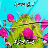 Artwork voor "killer Funk"