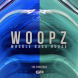 Artwork voor "WoopZ Wooble Bass House"