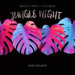Artwork for "Jungle Night"