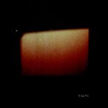 Artwork for "No Traps"