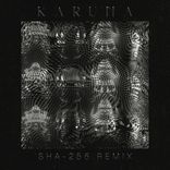 Artwork for "Karuna"