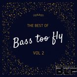 Artwork for "Best of Bass too fly"