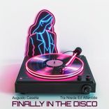 Artwork voor "Finally in the Disco"