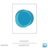 Artwork for "Everest"