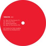 Artwork for "ANGLS 005"