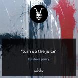 Artwork voor "Turn Up The Juice"