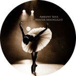 Artwork for "Winter Moonlight"