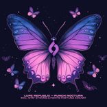 Artwork for "Punch Nocturn"