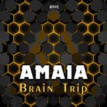 Artwork für "Brain Trip"