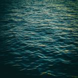 Artwork for "Freelove"