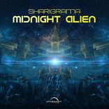 Artwork voor "Midnight Alien"