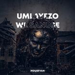 Artwork for "Umlayezo We Sanuse"