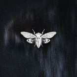 Artwork for "Rebirth"