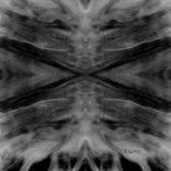 Artwork for "Sweat Bodies"