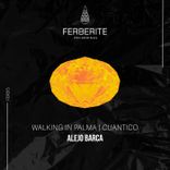 Artwork voor "Walking in Palma / Cuantico"