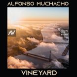 Artwork for "Vineyard"