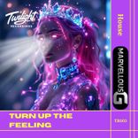 Artwork voor "Turn Up the Feeling"