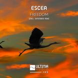 Artwork voor "Freedom"