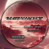 Artwork for "Vibration"