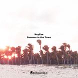 Portada para "Summer In The Town"