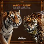 Artwork for "Summer Sampler Vol. I"