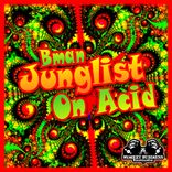 Artwork for "Junglist On Acid"