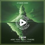 Are You Still There (Ye-Llow Dub)