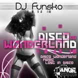 Artwork for "Disco Wonderland"