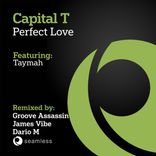 Artwork for "Perfect Love"