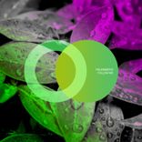 Artwork for "Follow Me"