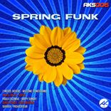 Portada para "Spring Funk"