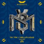 Artwork voor "Tik Tak / Mellifluous"