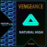 Portada para "Natural High"