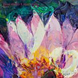 Portada para "Illusion"