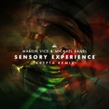 Sensory Experience