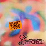 Artwork voor "Key to Equilibrium"