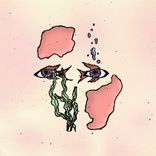 Falezdeki Yazlığım