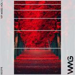 Artwork für "VIP Mixes, Vol. 1"