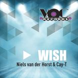 Artwork for "Wish"