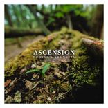 Artwork for "Ascension"