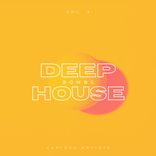 Portada para "Deep-House Bombs, Vol. 2"