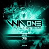 Artwork voor "Crazy (Extended Mix)"