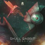 Artwork for "Freedom (Original Mix)"