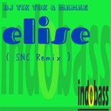Artwork for "Elise ( SNC Remix )"