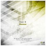 Artwork for "Shaman"