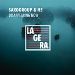 Artwork for "Disappearing Now"