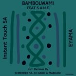 Artwork for "Bambolwami"