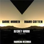 Artwork for "Secret Work"