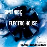 Artwork voor "SLiVER Music: Electro House, Vol.11"