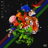 Artwork for "Killer"